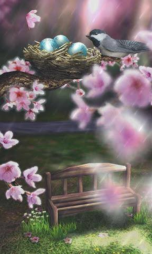 四季3D动态壁纸