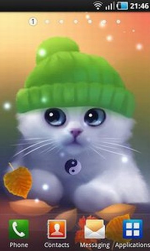 可爱猫咪动态壁纸