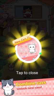 合并凯蒂猫