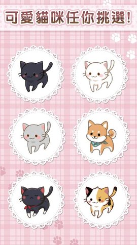 猫咪咖啡厅2