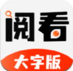 阅看小说大字版