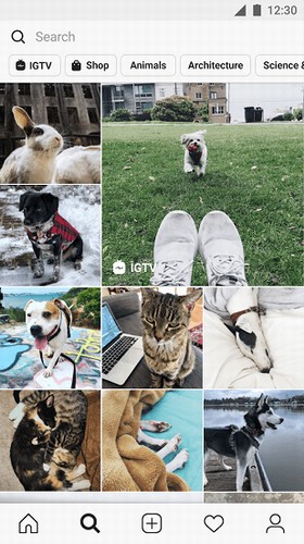 insgram