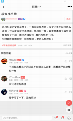 灵龟之家
