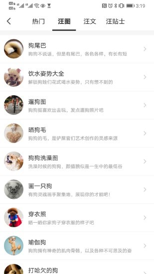 有狗