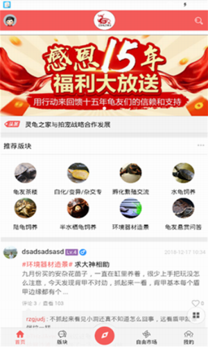 灵龟之家