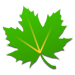 Greenify绿色守护下载 v4.7.2 中文版