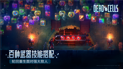 重生细胞免费版