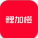 鲤加橙