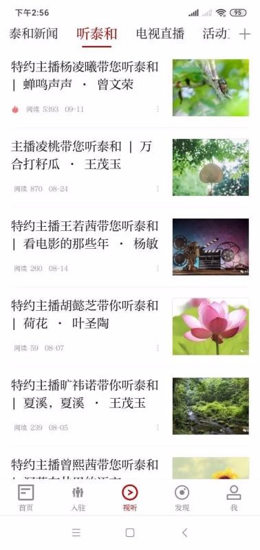 泰和在线