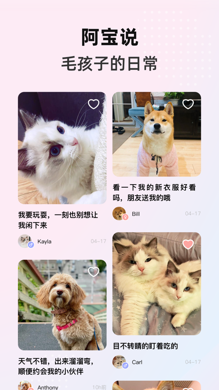 阿宝说iOS版