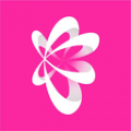 星阑婚礼安卓版