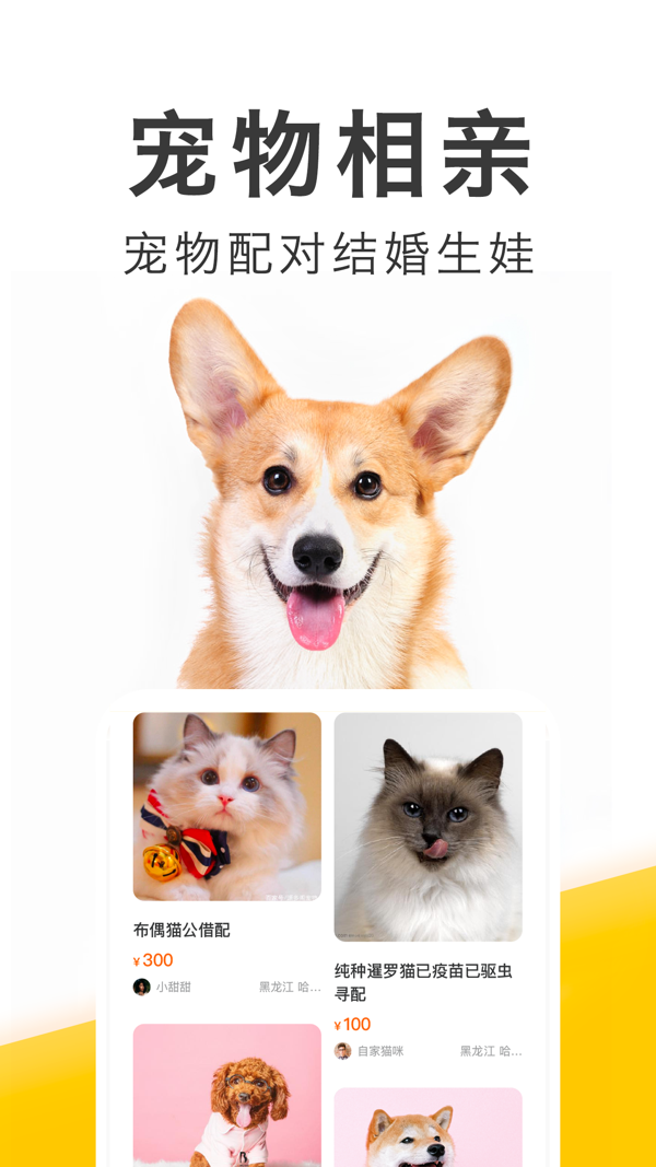 有只宠物iOS版