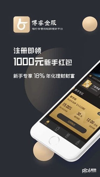 博睿金服