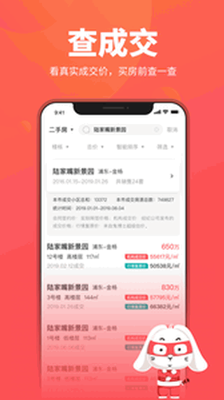 兔博士