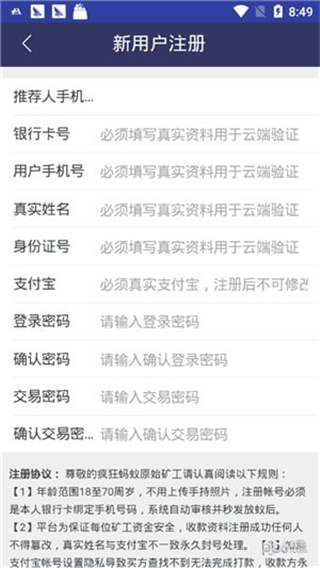 疯狂蚂蚁
