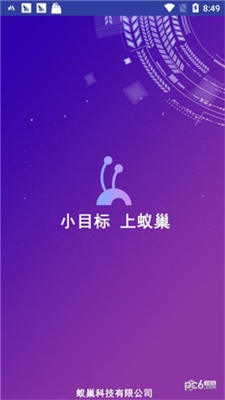 疯狂蚂蚁