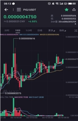 pigcoin