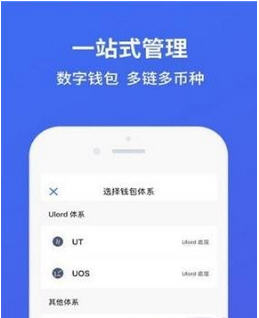 飞币
