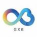 G支付