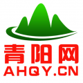 青阳网安卓版