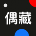 偶藏安卓版