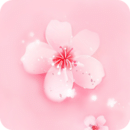 miui6