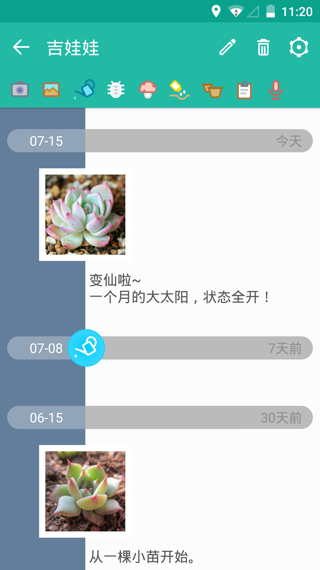 多肉成长记安卓版