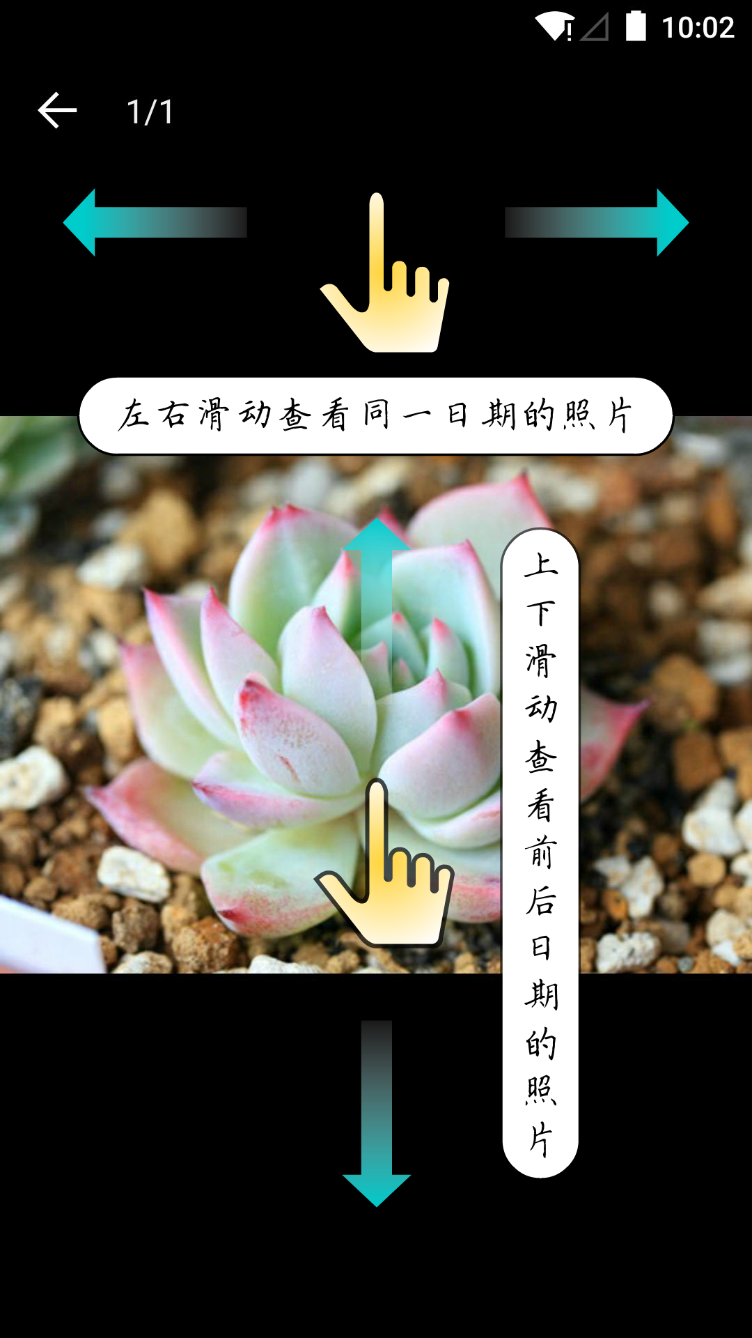 多肉成长记安卓版