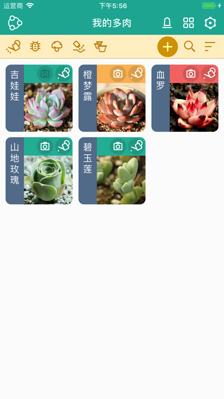多肉成长记iOS版