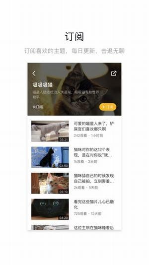 鸭脖视频app
