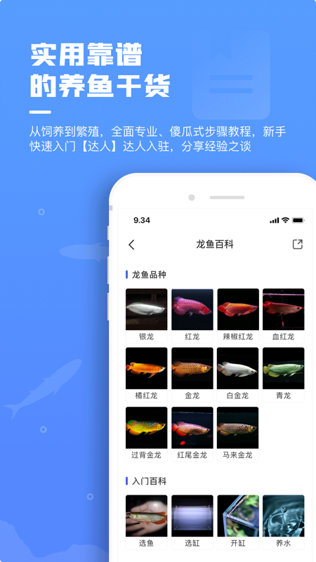鲲天下iOS版