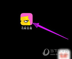 花椒直播