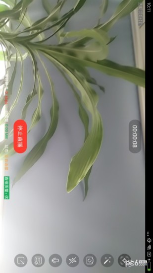 扬帆主播
