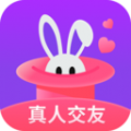 蜜兔聊安卓版