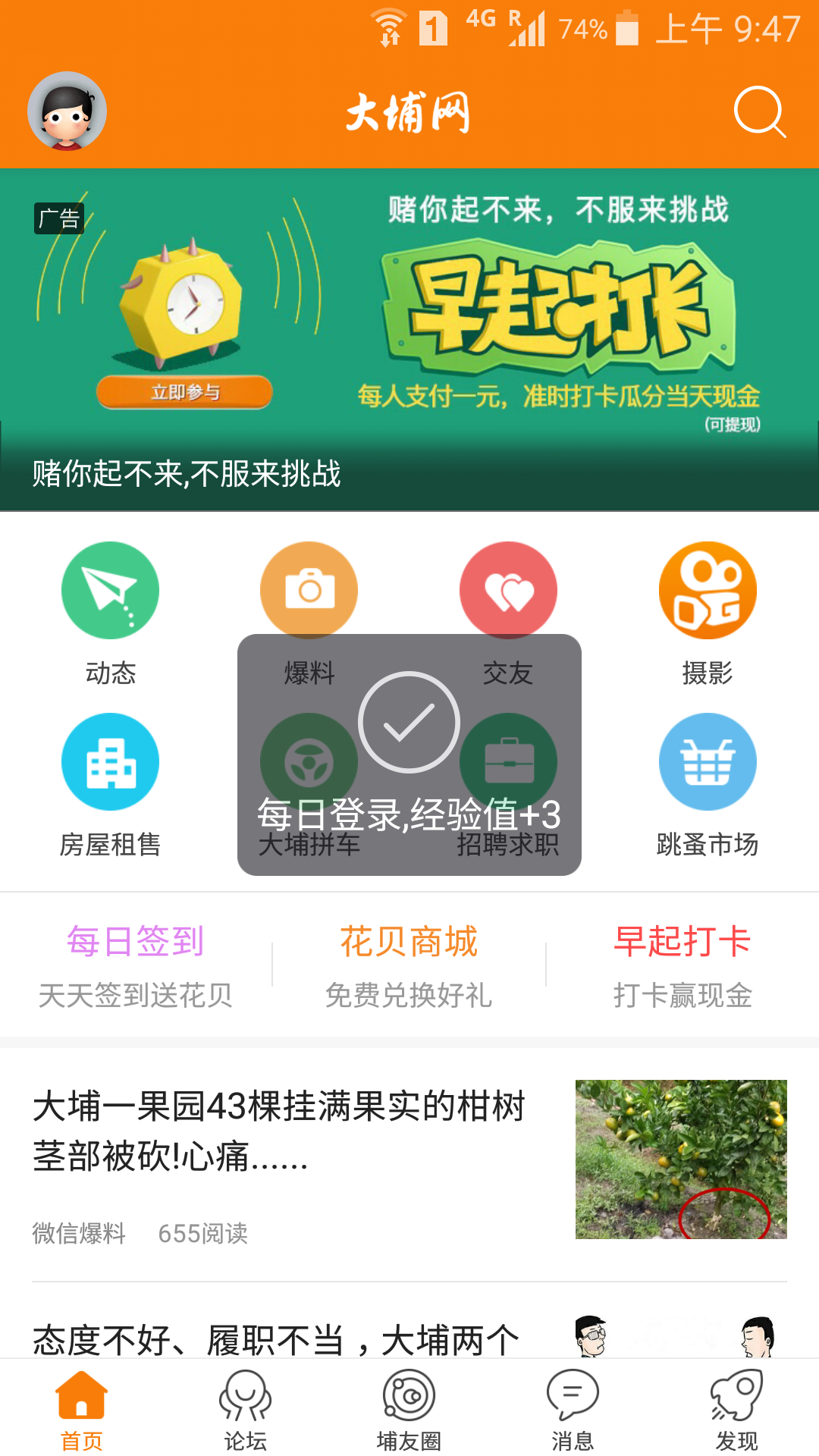 大埔网安卓版