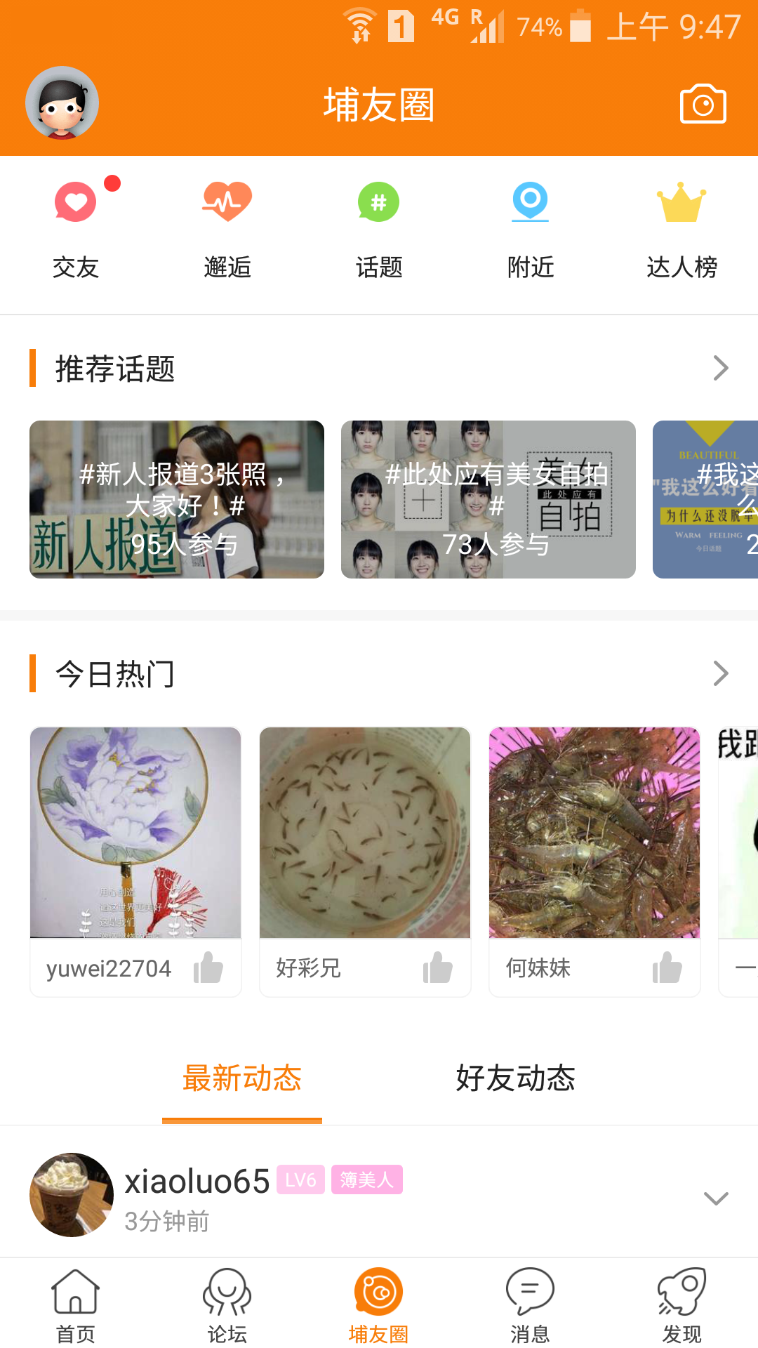 大埔网安卓版