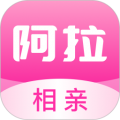 阿拉相亲安卓版
