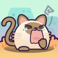 喵了个猫猫游戏官方免费版