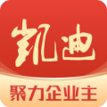 凯迪网安卓版