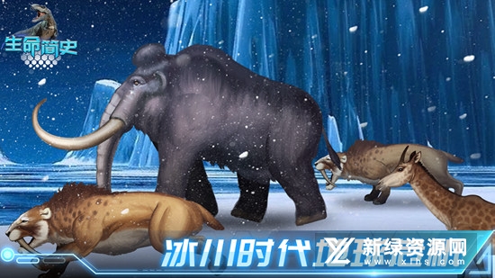 生命简史手游官方正版安装包