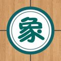 象棋巫师iOS版