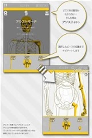 Anatomy安卓版