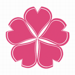 樱花视频2022