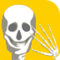 Anatomy安卓版
