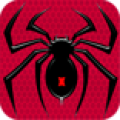 Spider安卓版