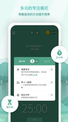 Forest新版