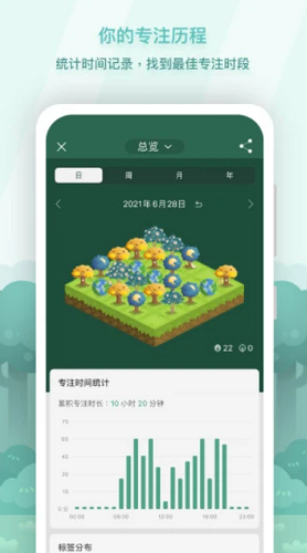 Forest新版