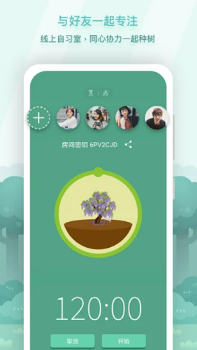 Forest新版