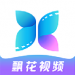 飘花视频