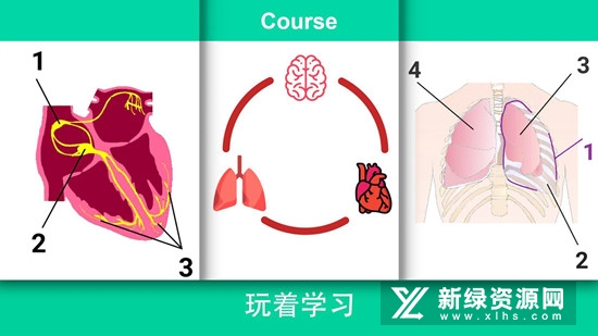 真实医疗模拟器手机正版免费版
